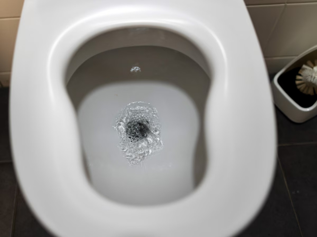 Wat Nooit Door Je Wc Spoelen