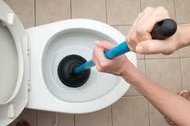 wc ontstoppen met plopper